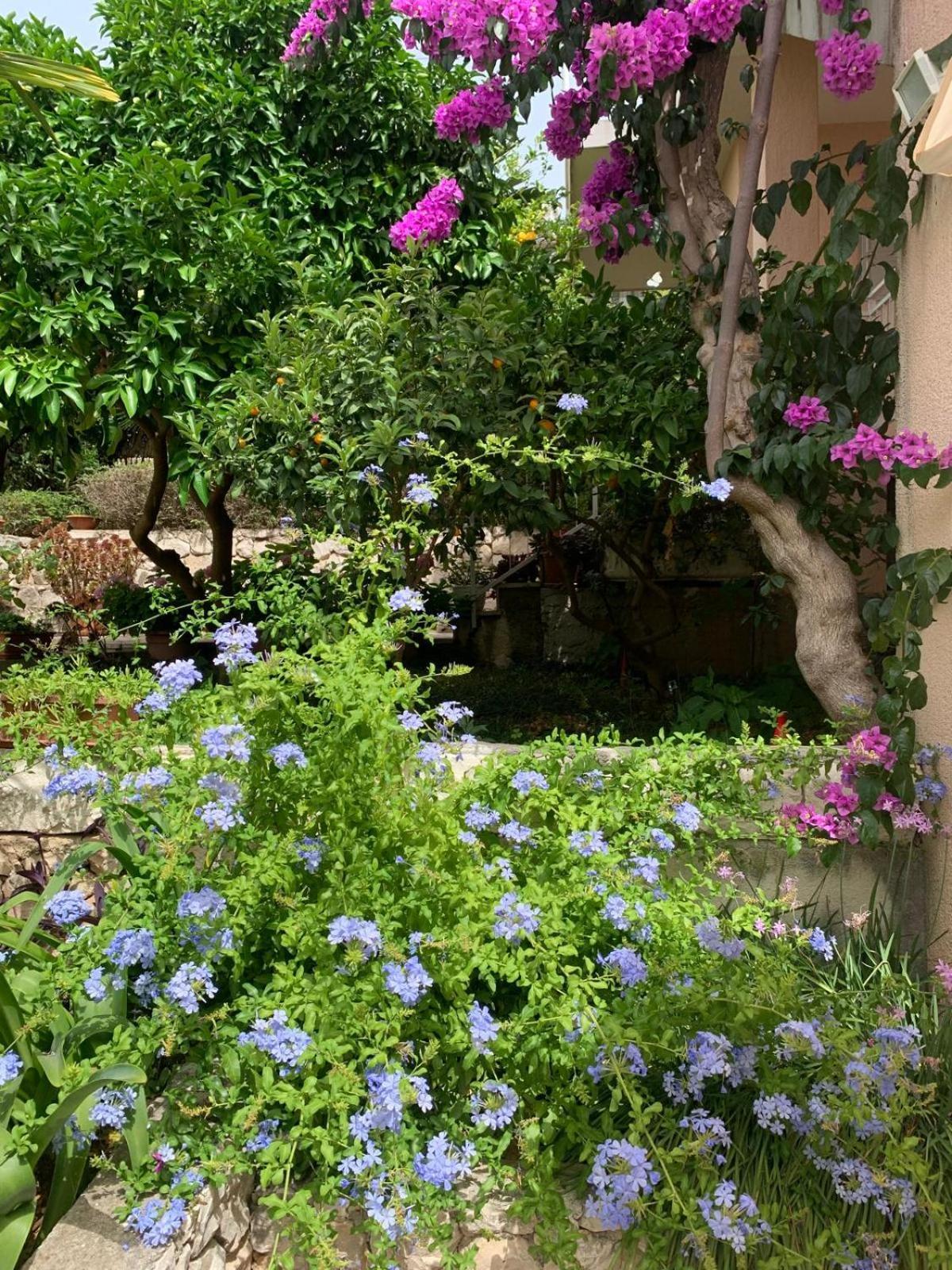 Villa Calypso Trogir Luaran gambar